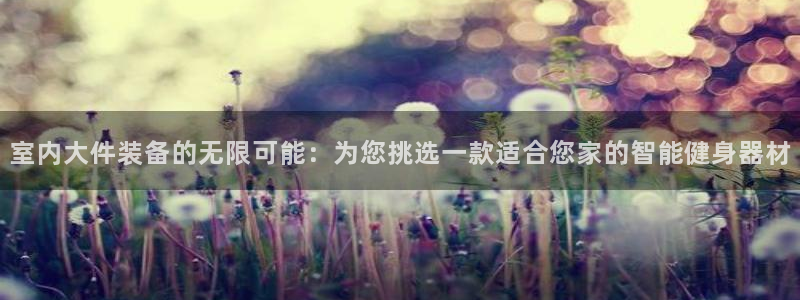 意昂体育4平台注册:室内大件装备的无限可能:为您挑选一款适合